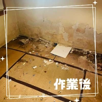画像303