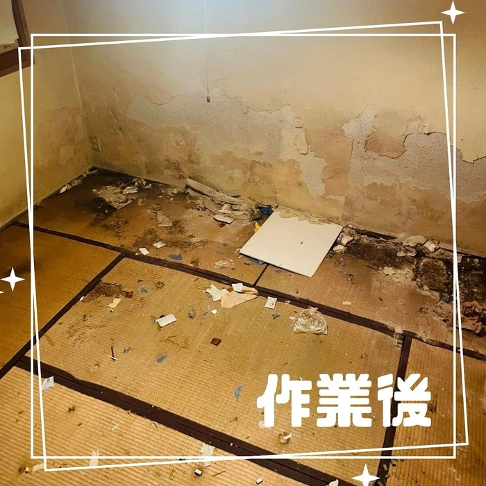 画像303