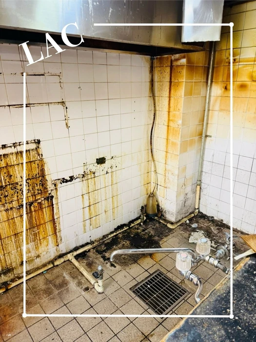 画像529